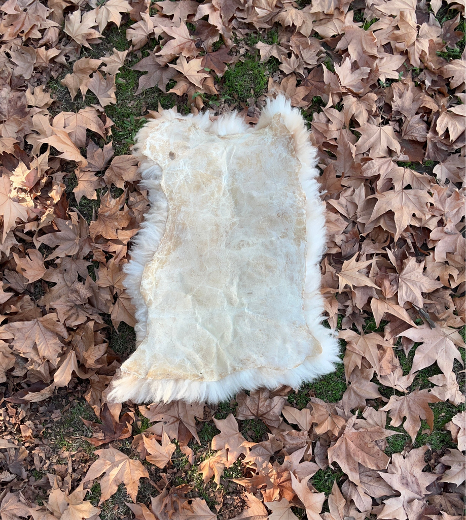 Smoked Tanned Hide #6 (longhaired)