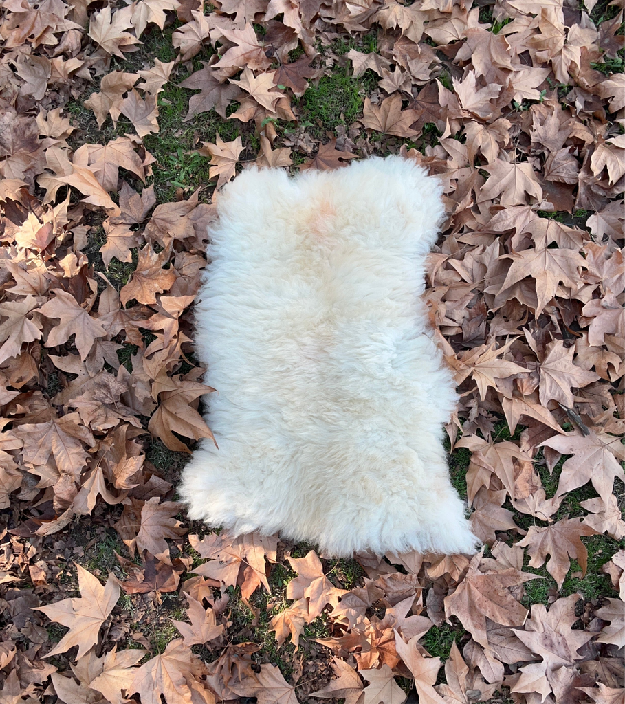 Smoked Tanned Hide #6 (longhaired)