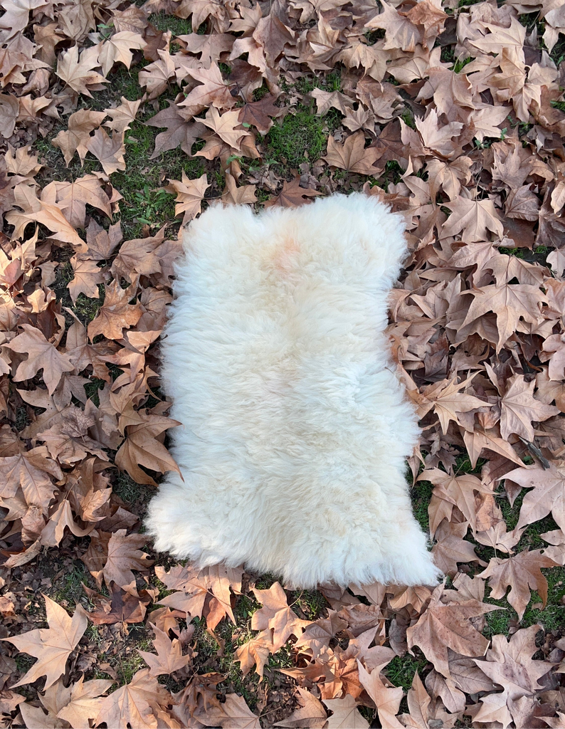 Smoked Tanned Hide #6 (longhaired)